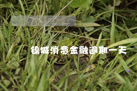 锦城消费金融逾期一天 锦城消费金融逾期一天