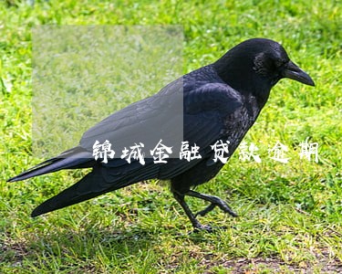 锦城金融贷款逾期 锦城金融贷款逾期