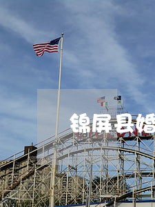 锦屏县婚姻律师事务所 锦屏县婚姻律师事务所