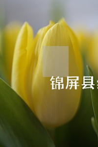 锦屏县经济仲裁在线律师 锦屏县经济仲裁在线律师