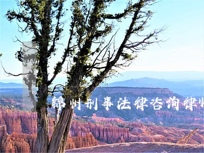 锦州刑事法律咨询律师