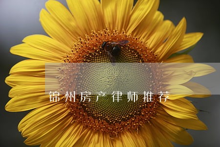 锦州房产律师推荐 锦州房产律师推荐