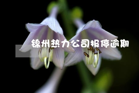 锦州热力公司报停逾期 锦州热力公司报停逾期