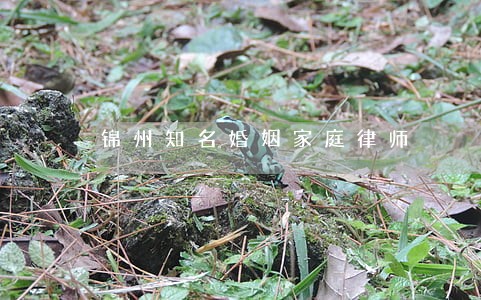锦州知名婚姻家庭律师 锦州知名婚姻家庭律师
