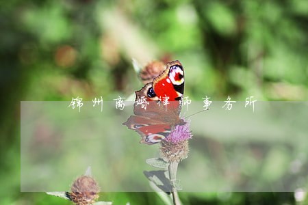 锦州离婚律师事务所 锦州离婚律师事务所