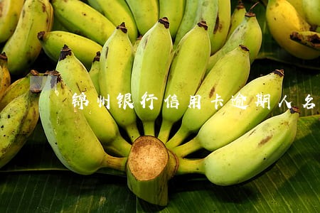 锦州银行信用卡逾期人名单 锦州银行信用卡逾期人名单