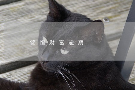 锦恒财富逾期 锦恒财富逾期