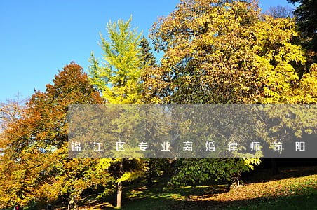 锦江区专业离婚律师简阳 锦江区专业离婚律师简阳