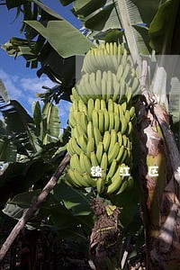 锦江区专办债权债务清理律师 锦江区专办债权债务清理律师