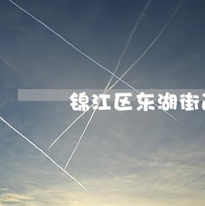 锦江区东湖街道法律顾问 锦江区东湖街道法律顾问