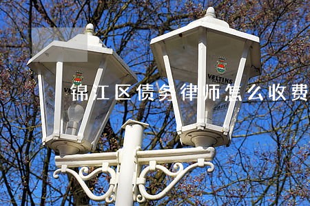 锦江区债务律师怎么收费 锦江区债务律师怎么收费