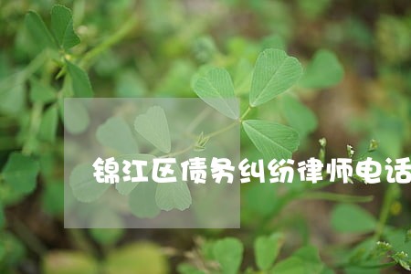 锦江区债务纠纷律师电话多少 锦江区债务纠纷律师电话多少