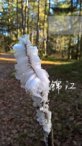 锦江区司法局在行动 锦江区司法局在行动