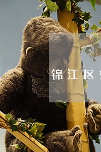 锦江区婚姻财产律师 锦江区婚姻财产律师