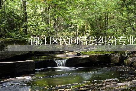 锦江区民间借贷纠纷专业律师价格 锦江区民间借贷纠纷专业律师价格