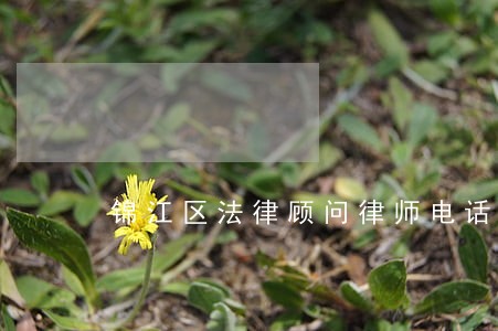 锦江区法律顾问律师电话 锦江区法律顾问律师电话