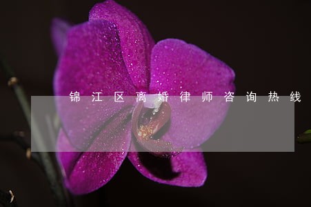 锦江区离婚律师咨询热线 锦江区离婚律师咨询热线