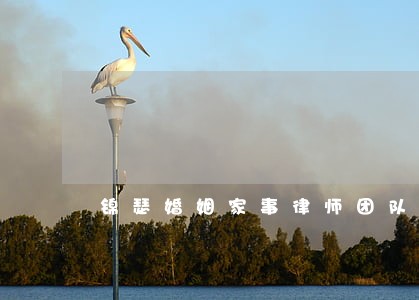 锦瑟婚姻家事律师团队 锦瑟婚姻家事律师团队