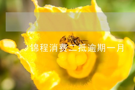 锦程消费二抵逾期一月 锦程消费二抵逾期一月
