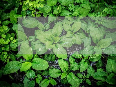 锦程消费金融欠7000逾期 锦程消费金融欠7000逾期