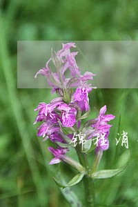 锦程消费金融逾期4个月 锦程消费金融逾期4个月