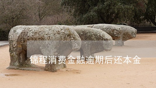 锦程消费金融逾期后还本金 锦程消费金融逾期后还本金