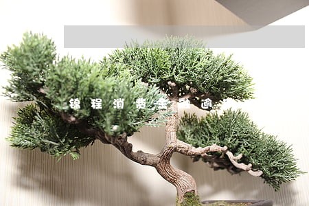 锦程消费金融逾期宽限期 锦程消费金融逾期宽限期
