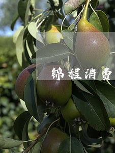 锦程消费金融逾期怎么办 锦程消费金融逾期怎么办