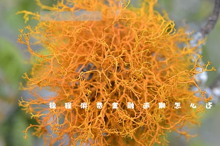 锦程消费金融逾期怎么还 锦程消费金融逾期怎么还