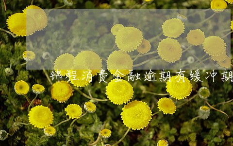 锦程消费金融逾期有缓冲期吗 锦程消费金融逾期有缓冲期吗