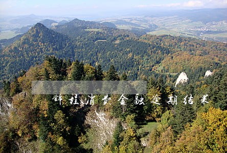 锦程消费金融逾期结果 锦程消费金融逾期结果
