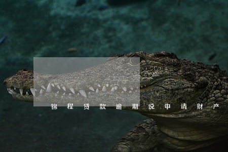 锦程贷款逾期说申请财产保全 锦程贷款逾期说申请财产保全