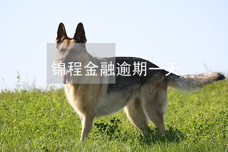 锦程金融逾期一天 锦程金融逾期一天