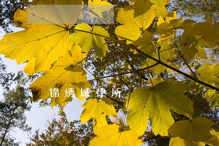 锦绣城律所