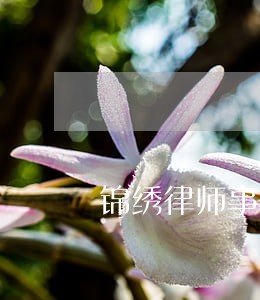 锦绣律师事务所怎么样