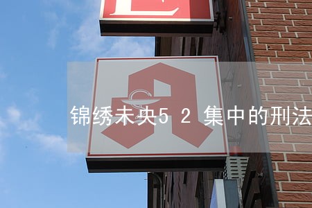 锦绣未央52集中的刑法 锦绣未央52集中的刑法