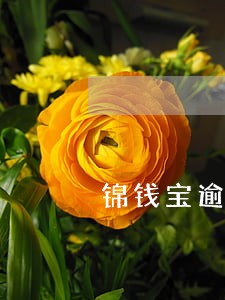 锦钱宝逾期会上门 锦钱宝逾期会上门