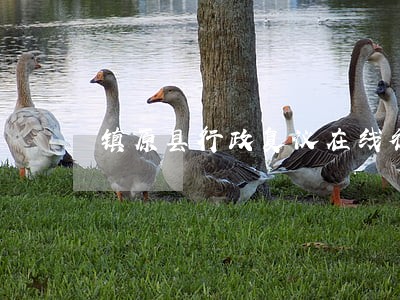 镇原县行政复议在线律师 镇原县行政复议在线律师