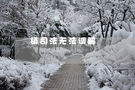 镇司法无法调解