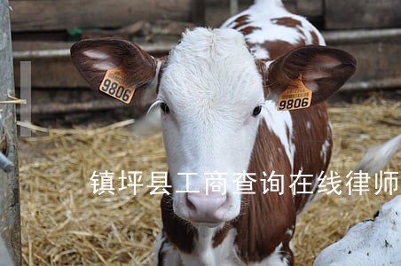 镇坪县工商查询在线律师 镇坪县工商查询在线律师