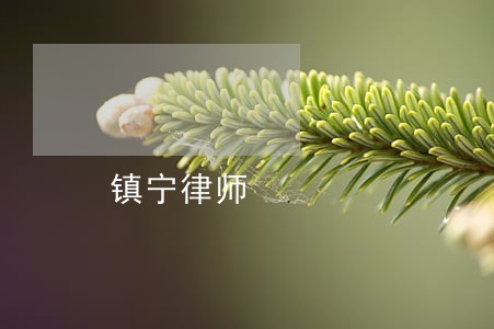 镇宁律师 镇宁律师