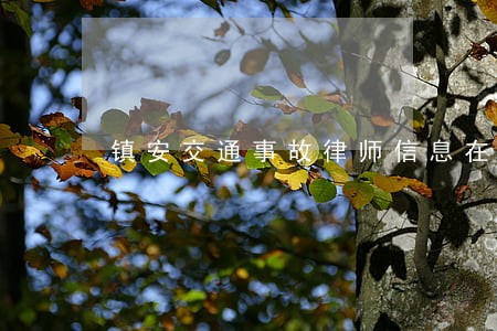 镇安交通事故律师信息在线查询 镇安交通事故律师信息在线查询