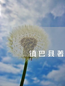 镇巴县著作权法律咨询热线 镇巴县著作权法律咨询热线