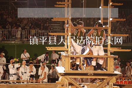 镇平县人民法院拍卖网 镇平县人民法院拍卖网
