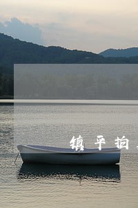 镇平拍卖网 镇平拍卖网