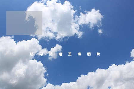 镇平法院王伟照片 镇平法院王伟照片