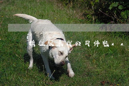 镇征服来我公司停电xx府违法吗 镇征服来我公司停电xx府违法吗