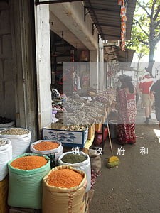 镇政府和哪个好