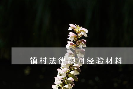 镇村法律顾问经验材料 镇村法律顾问经验材料