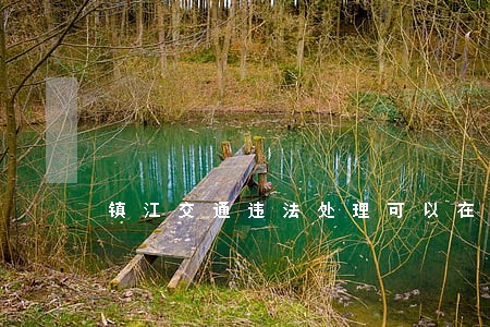 镇江交通违法处理可以在周末